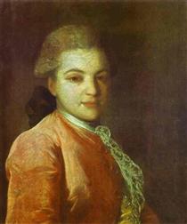Portrait of Count Illarion Ivanovich Vorontsov - Fjodor Stepanowitsch Rokotow