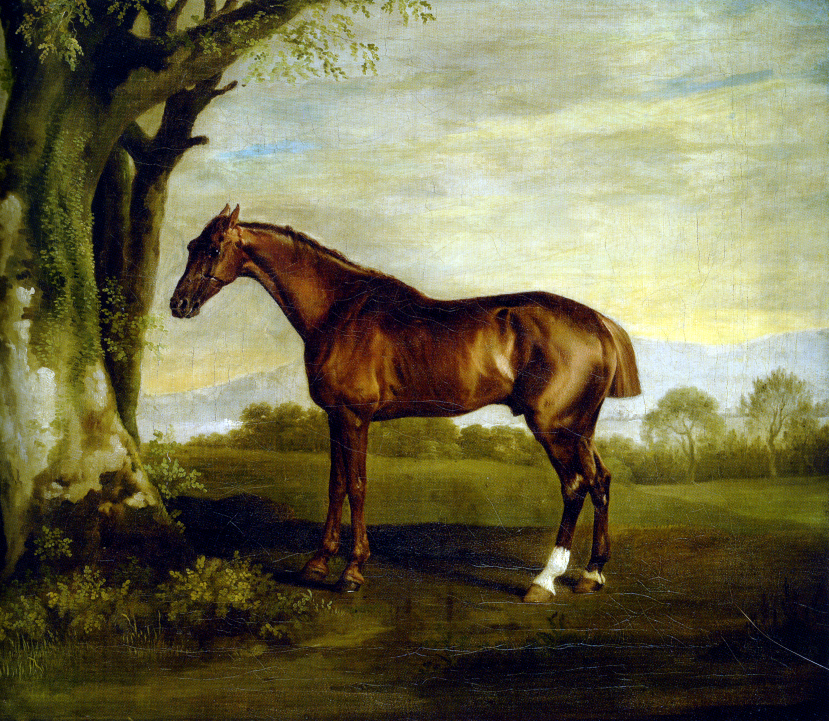 A Chestnut Racehorse George Stubbs WikiArt