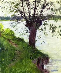 Willow on the Banks of the Seine - 古斯塔夫·卡耶博特