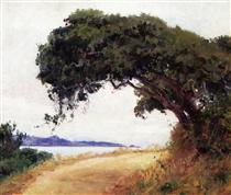 Point Lobos, Oak Tree - Guy Rose