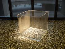 Condensation Cube - Hans Haacke