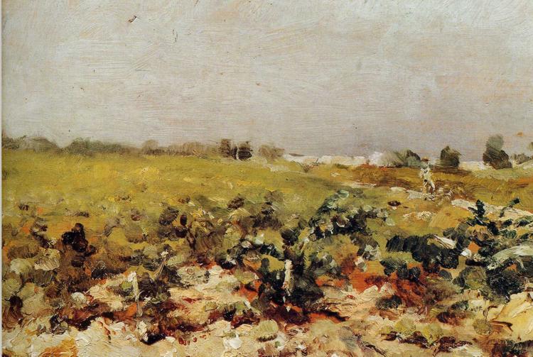 C leyran View of the Vignards, 1880 - Henri de Toulouse-Lautrec