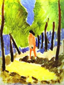 Nude in Sunlit Landscape - Henri Matisse