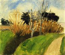 The Stream (near Nice) - Henri Matisse