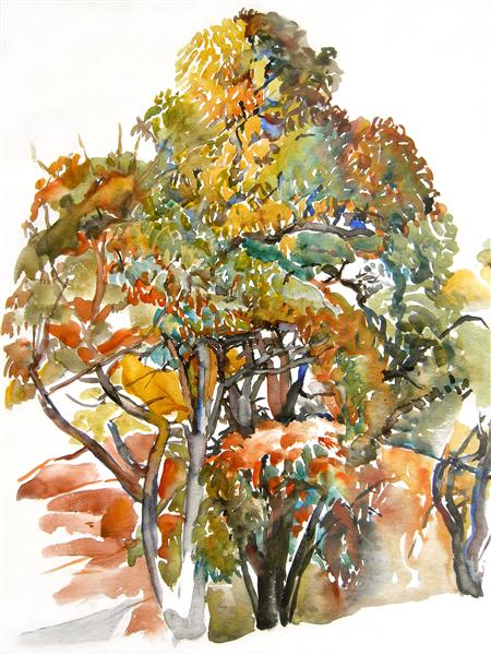 Chestnut trees in the autumn in Antagnes, Switzerland, 1977 - Hubertine Heijermans