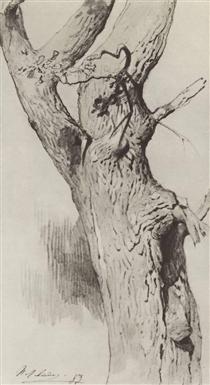 The trunk of an old tree - Isaak Levitán