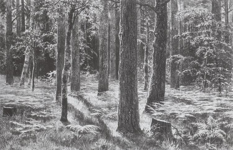 Ferns, 1886 - Iwan Iwanowitsch Schischkin