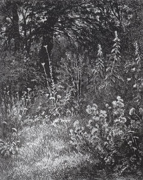 Forest flowers, 1873 - Ivan Shishkin