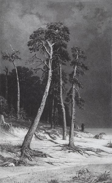 Pines, 1885 - 1892 - Іван Шишкін