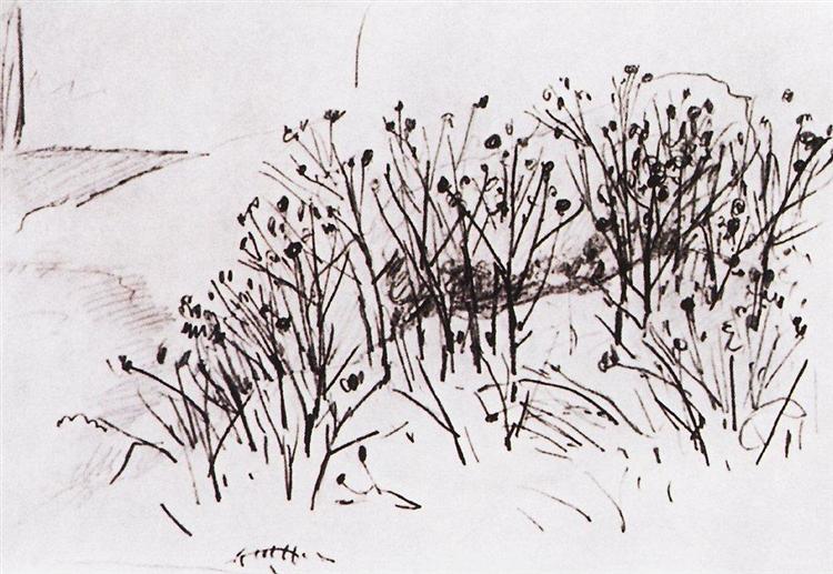 Study, 1884 - Ivan Shishkin