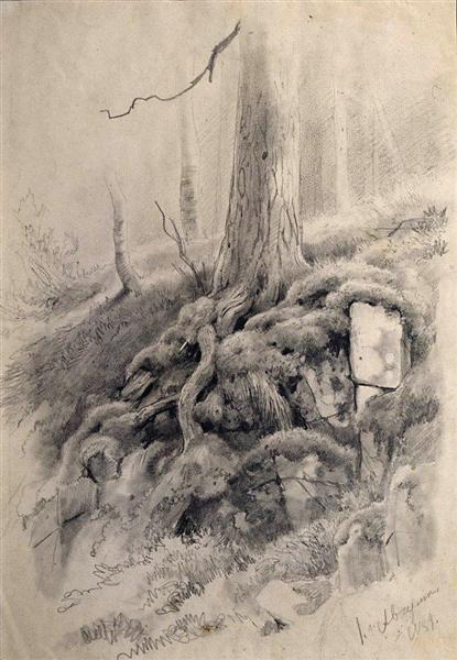Tree roots - Ivan Shishkin
