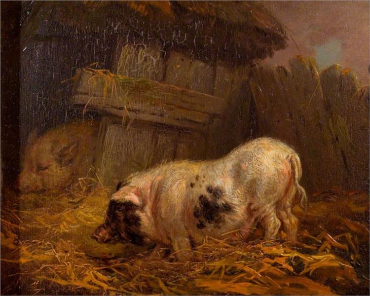 A Chinese Sow - James Ward