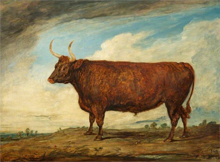 The Devonshire Ox, 1801 - James Ward
