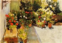 A Rooftop with Flowers - Joaquín Sorolla