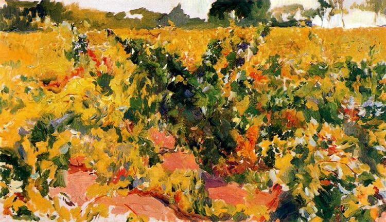 Study of Vineyard - Joaquín Sorolla y Bastida