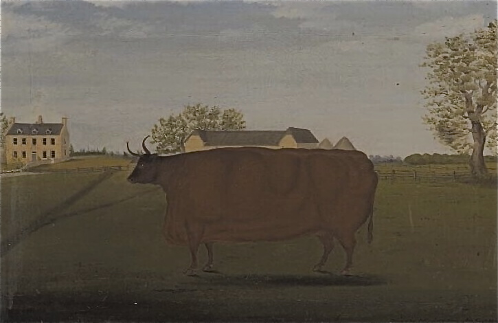 Painting of a Prize Cow in a Field, 1827 - Джон Брэдли