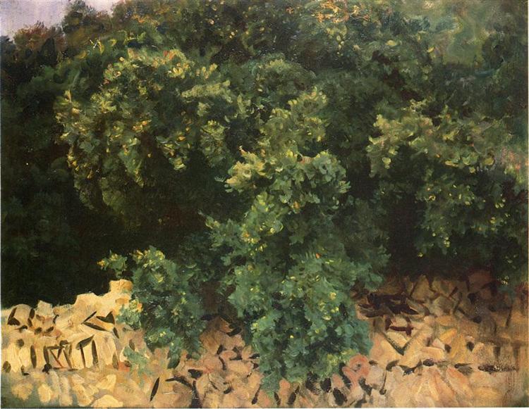 Ilex Wood, Majorca, 1908 - Джон Сингер Сарджент