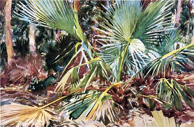 Palmettos, Florida, 1917 - Джон Сінгер Сарджент