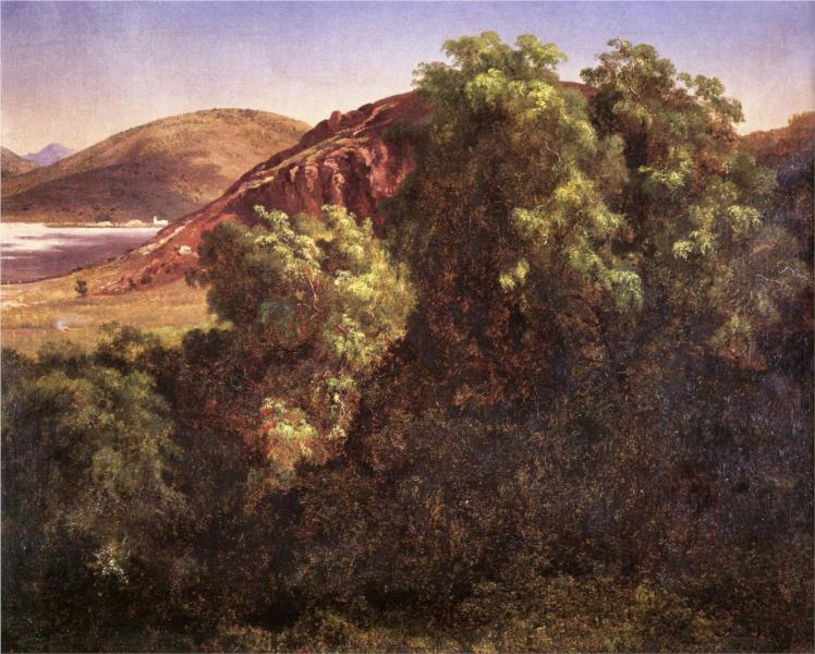 Pirúes del Tepeyac, 1878 - Хосе Мария Веласко