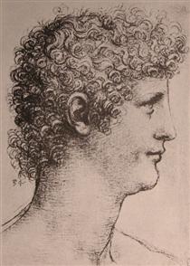 Drawing of Salai - Léonard de Vinci