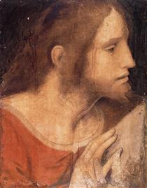 Head of St. James the Less - Léonard de Vinci