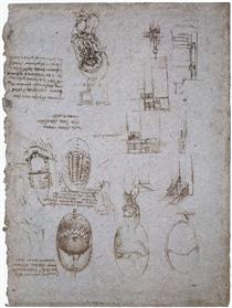 Studies of the Villa Melzi and anatomical study - Léonard de Vinci