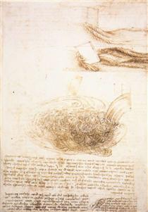 Studies of water - Леонардо да Вінчі