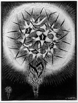 Prickly Flower, 1936 - Мауриц Корнелис Эшер