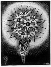 Prickly Flower - M.C. Escher