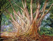 Avenue of Indian Rubber Trees at Peradeniya, Ceylon - Marianne North