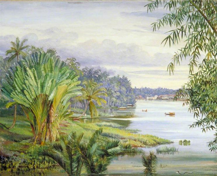 View of Kuching and River, Sarawak, Borneo, 1876 - Marianne North