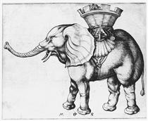 Elefant - Martin Schongauer