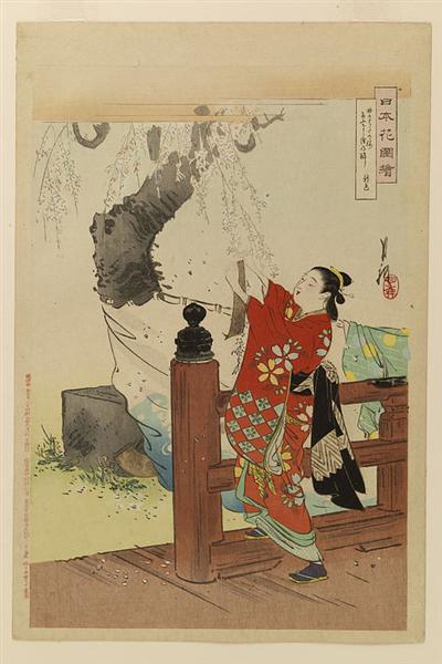 Nihon hana zue, 1897 - Огата Гэкко
