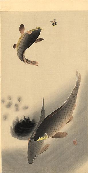 Carp and Bee, c.1910 - Охара Косон