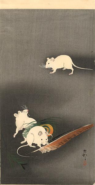 Three White Mice, 1900 - 小原古邨