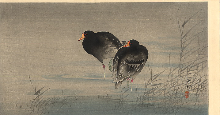 Two Gallinules in Shallow Water - Koson Ohara