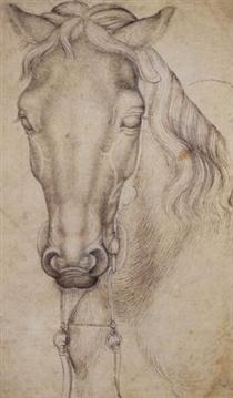 Study of the Head of a Horse - Пізанелло