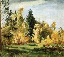 A ray of sunlight. The forest. - Pyotr Konchalovsky