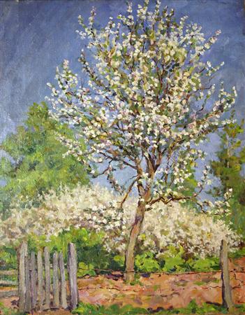 Apple tree in bloom, 1953 - Петро Кончаловський
