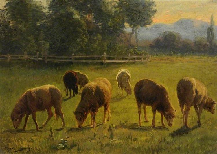 Sheep in a Landscape - Роза Бонер