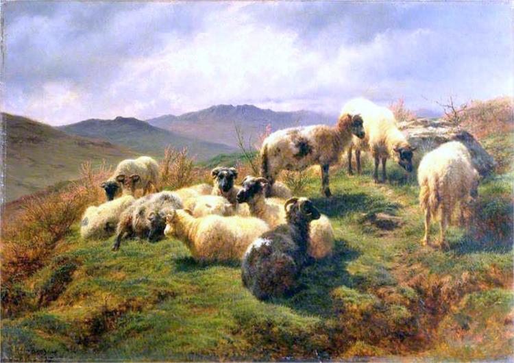 Sheep in the Highlands, 1857 - Роза Бонер
