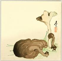 Wild Mushrooms - Shibata Zeshin