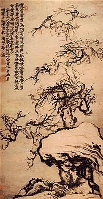 Prunus among the Rocks - Shitao