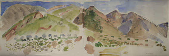 Swartberg Landscape - Stanley Pinker
