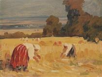 Harvesting - Ștefan Popescu