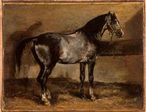 Gray horse rack - 西奧多·傑利柯