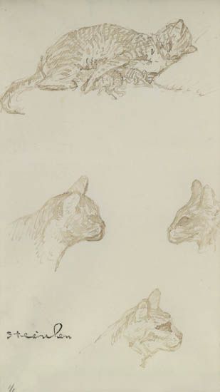 Study of cats - Theophile Steinlen