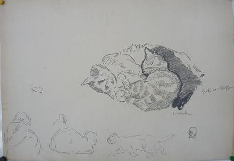 Study of cats - Theophile Steinlen