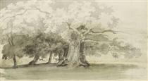 Árvores em um Parque - Thomas Girtin
