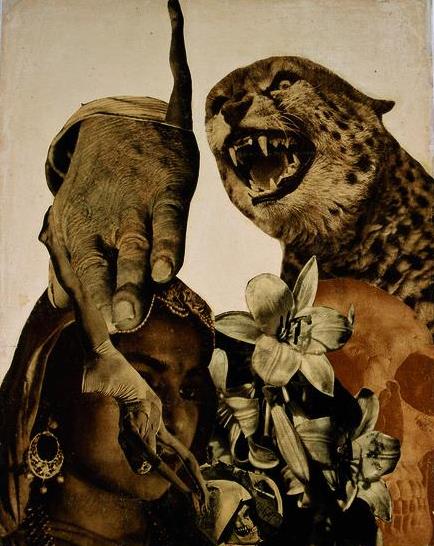 Tiger and Lillies, 1933 - Lajos Vajda